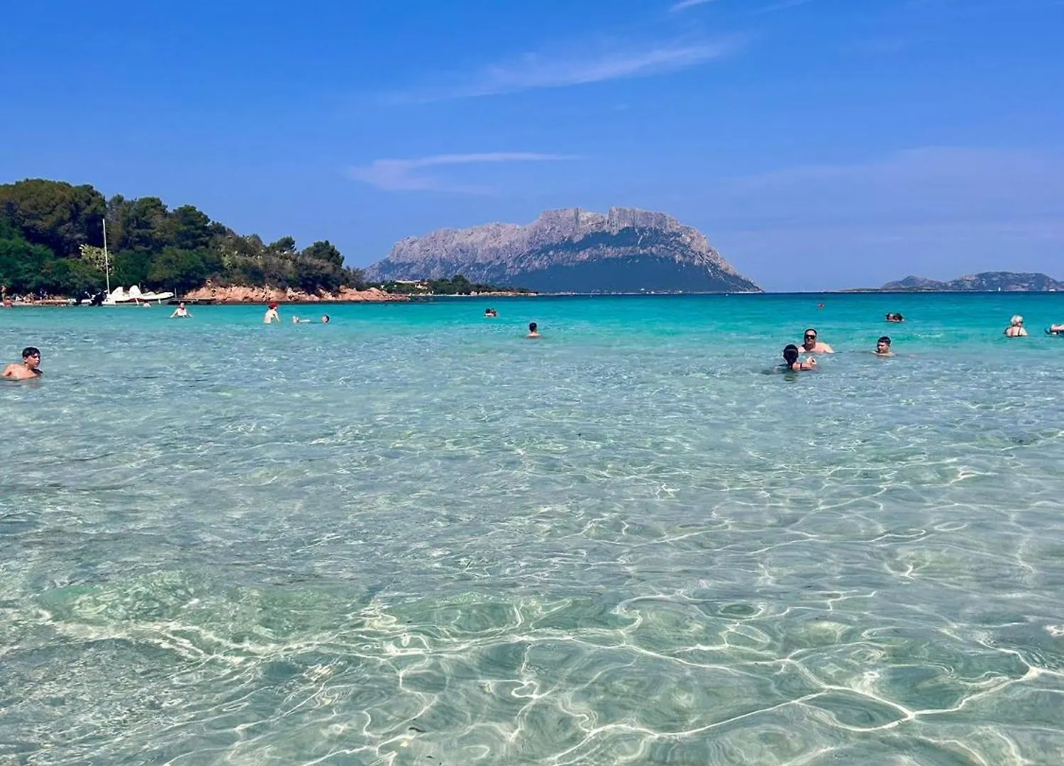 Appartamento Olbia 53-11